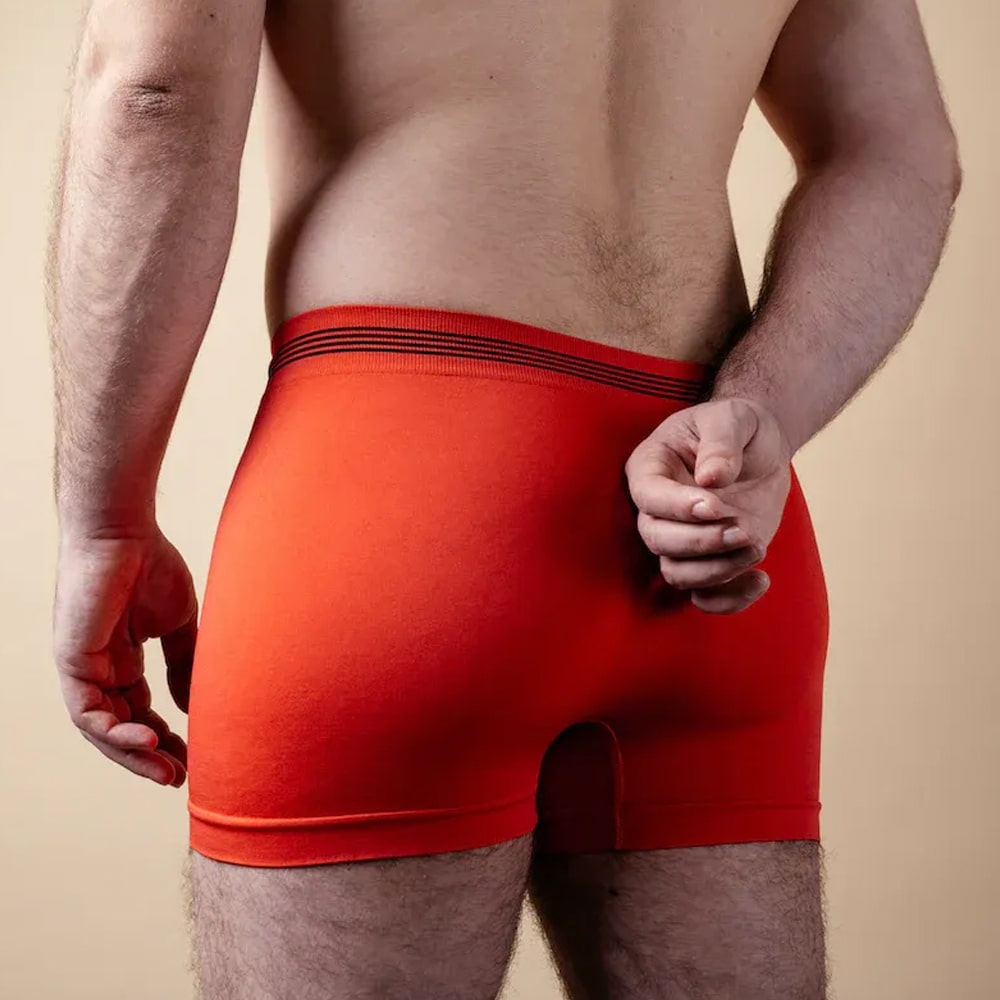 Modal showing Holey Tox