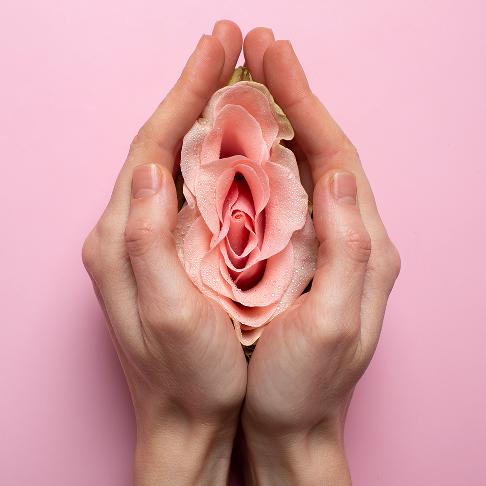 Modal showing Labia Fat Transfer